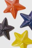 Starfish of Kisii