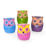 Flat Owl of Kisii