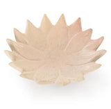 Daisy Dish of Kisii