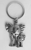 EA Key Ring