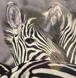 Creative Nature Card