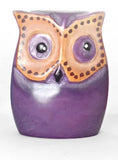 Flat Owl of Kisii