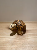 Bobble-Headed Tortoise of Burnt Jacaranda