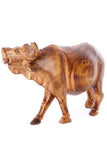 Cape Buffalo of Burnt Jacaranda