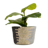 Kazi Stone Baskets