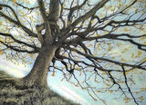 Forest Edge Art Card