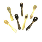HD Spice Spoon of Ankole Horn