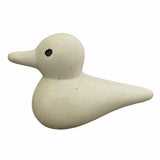 BMFT Bird of Kisii