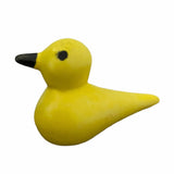 BMFT Bird of Kisii