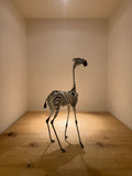 Whimsical Zebra