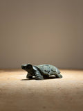 Shona Turtle of Serpentine