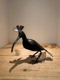 “Hoopoe” by James Suraji
