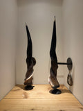 Eland Horn Wall Sconces