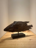 Zambezi Fish of Driftwood