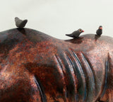 Porcupine Ceramics - Animals