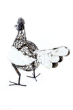 Mother Hen of Meshed Metal